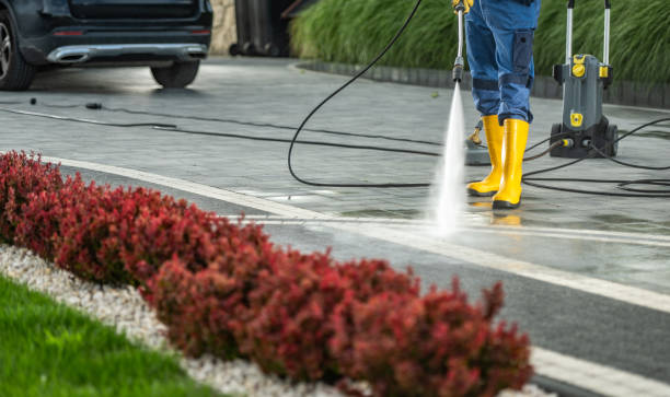 Professional Pressure Washing Services in Rose Valley, PA